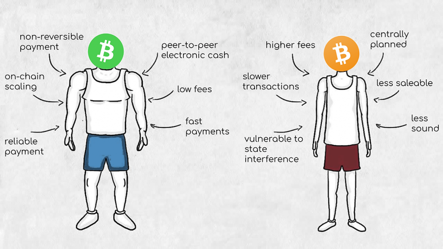 Bitcoin Cash vs Bitcoin über Medium